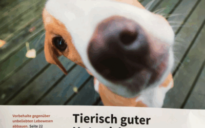 Interview mit Kimberly Ann Grobholz