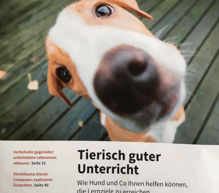 Interview mit Kimberly Ann Grobholz