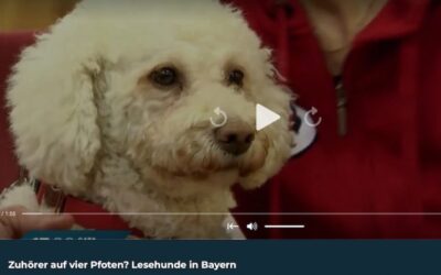 Zuhörer auf vier Pfoten – Sat1 Regional – Bayern