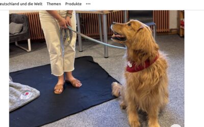 Vorlesezeit mit Loui: Ein treuer Begleiter in der Bücherei