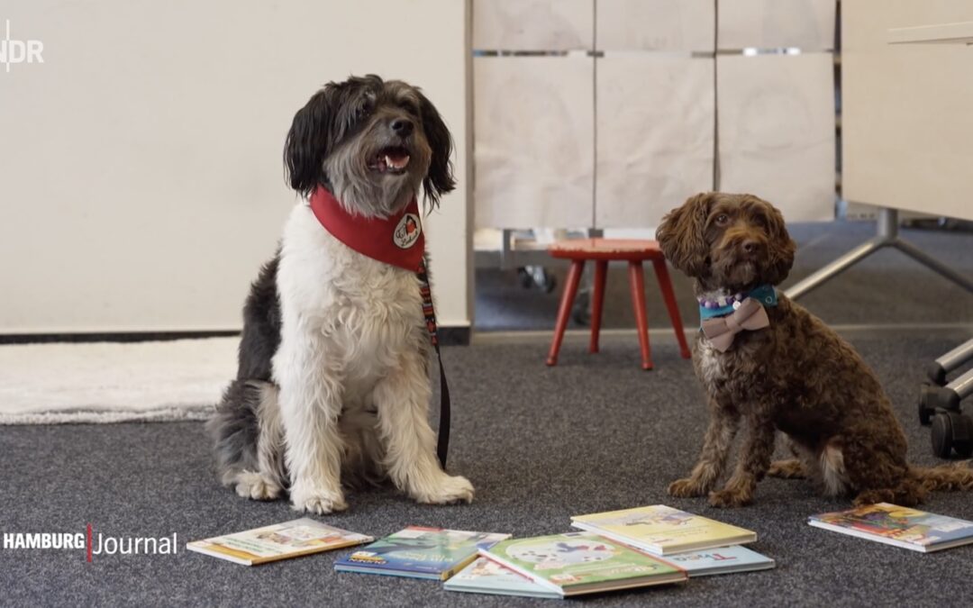 Beitrag im NDR über unsere Lesehunde Mogli und Luna
