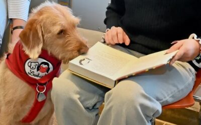 Wie ein Hund Kindern die Angst vor dem Lesen nimmt (Augsburger Allgemeine)