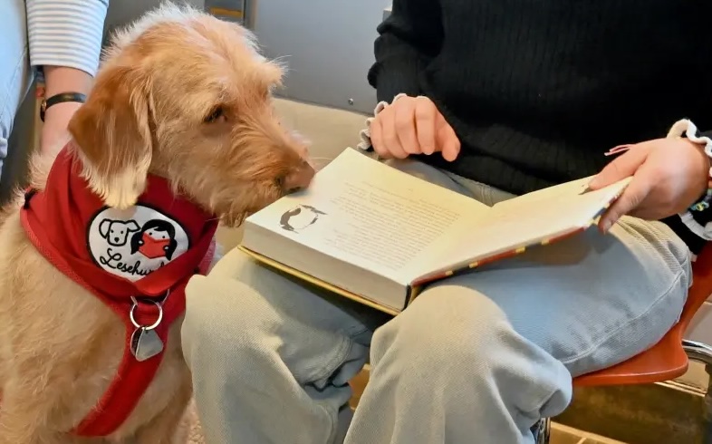 Wie ein Hund Kindern die Angst vor dem Lesen nimmt (Augsburger Allgemeine)