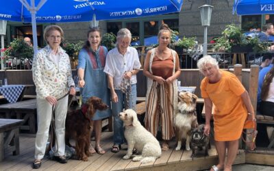 Lesehund Mitgliederversammlung im Juli